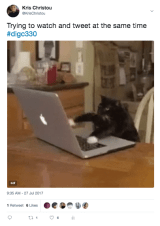 Screen Shot 2017-07-28 at 9.49.31 pm