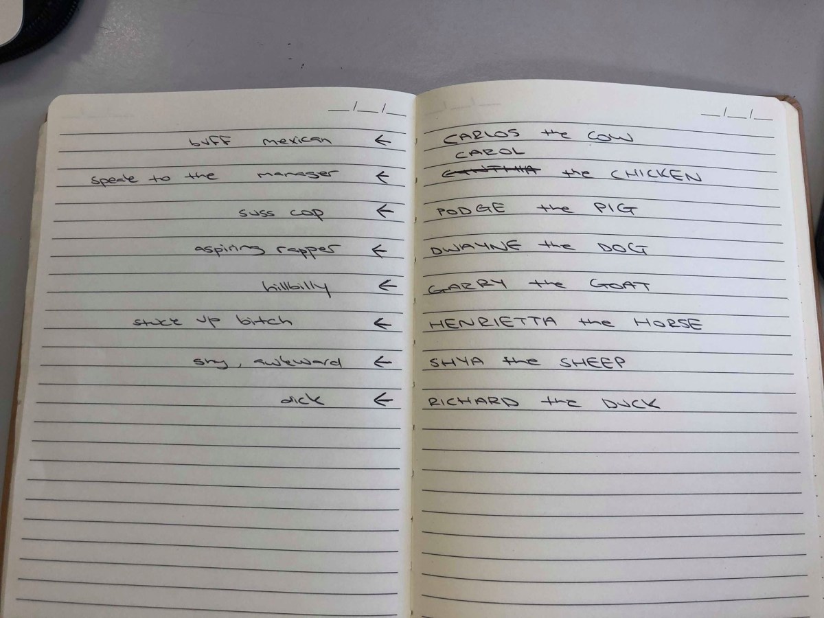 56222486_790133341359513_836640254663327744_n