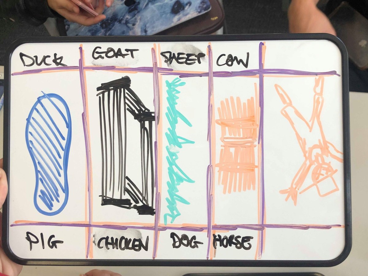 56310305_401972730633596_3485497953638940672_n